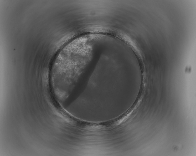 X0000090910202200708201750