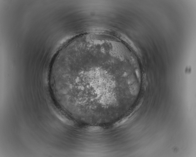 X0000090910203200708201750