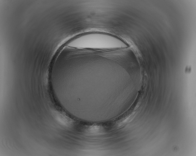 X0000090910204200708201750