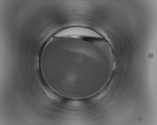 X0000090910205200708201750