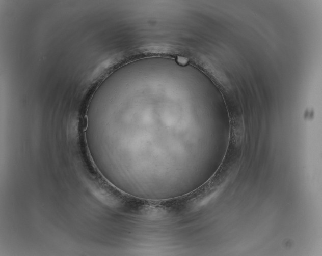 X0000090910207200708201750