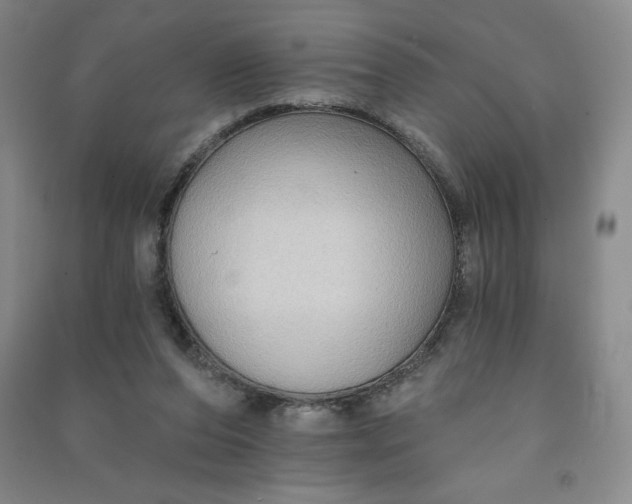 X0000090910208200708201750