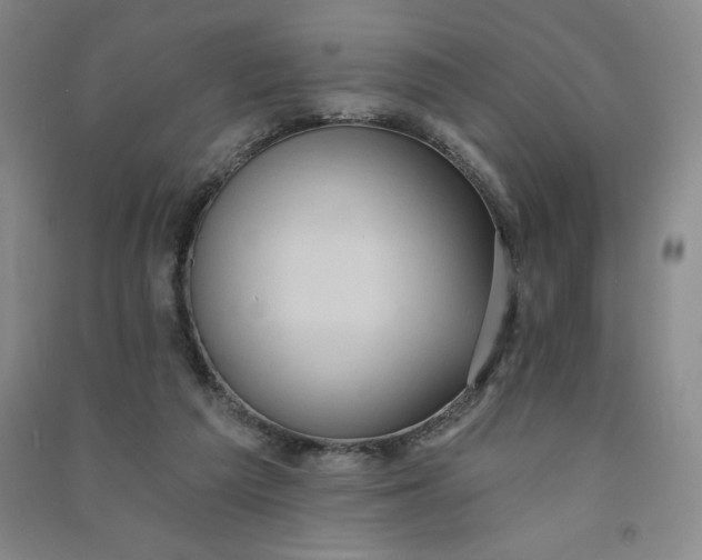 X0000090910209200708201750