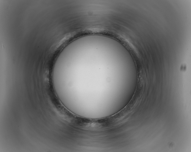 X0000090910212200708201749