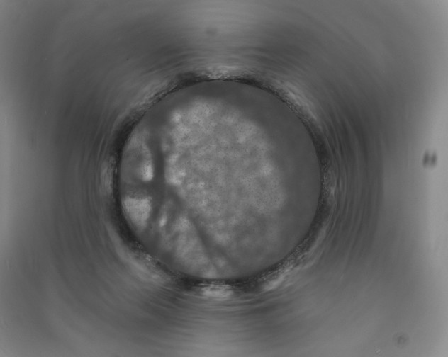 X0000090910214200708201749