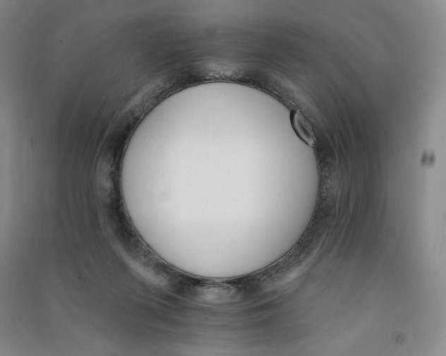 X0000090910215200708201749