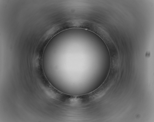 X0000090910216200708201749