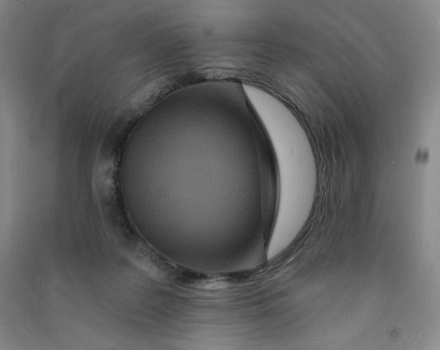 X0000090910219200708201749