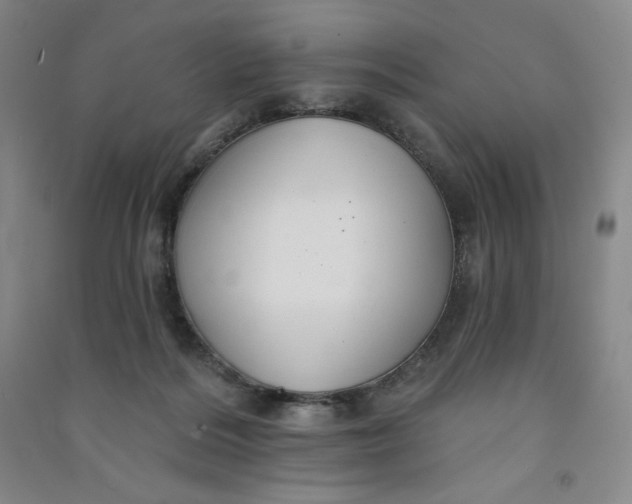 X0000090910220200708201749