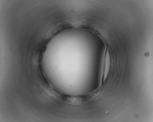 X0000090910221200708201749