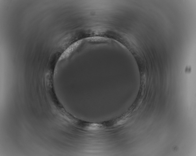 X0000090910222200708201749