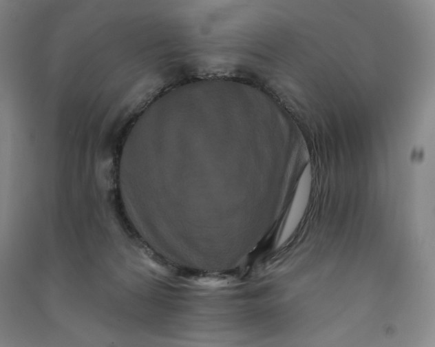 X0000090910224200708201749