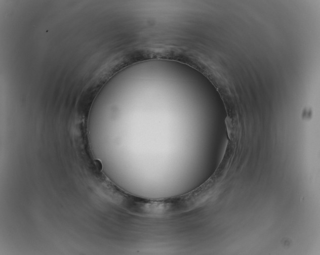 X0000090910225200708201749