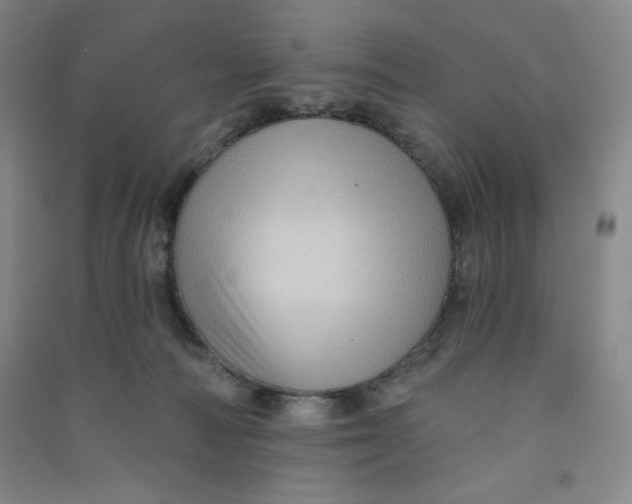 X0000090910226200708201749