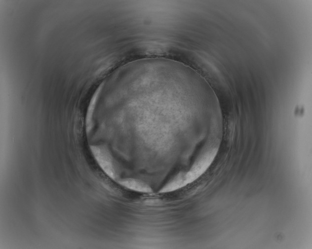 X0000090910228200708201749