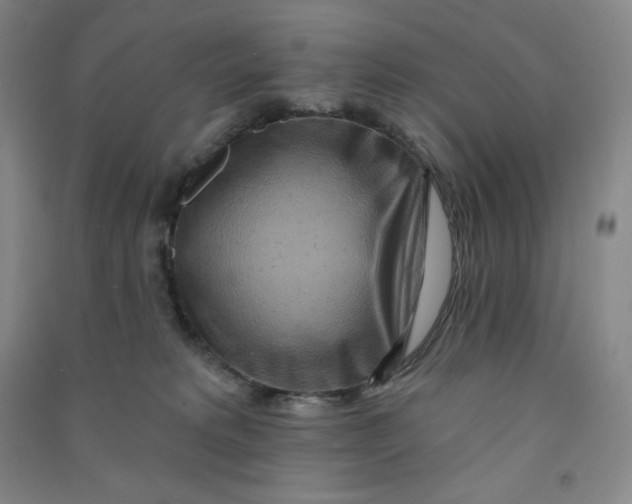 X0000090910229200708201749