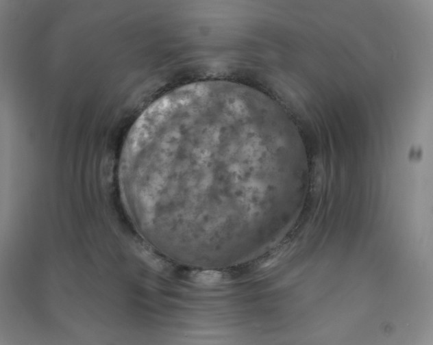 X0000090910230200708201749