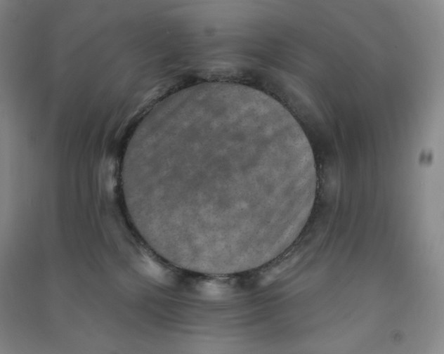 X0000090910232200708201749