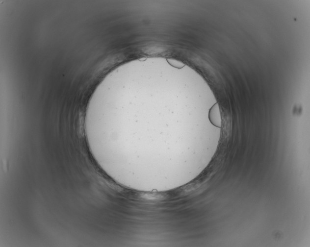 X0000090910234200708201749