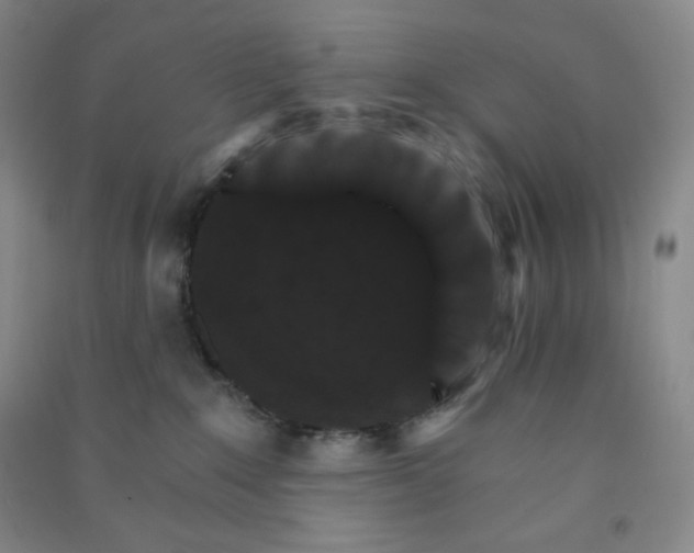 X0000090910235200708201749