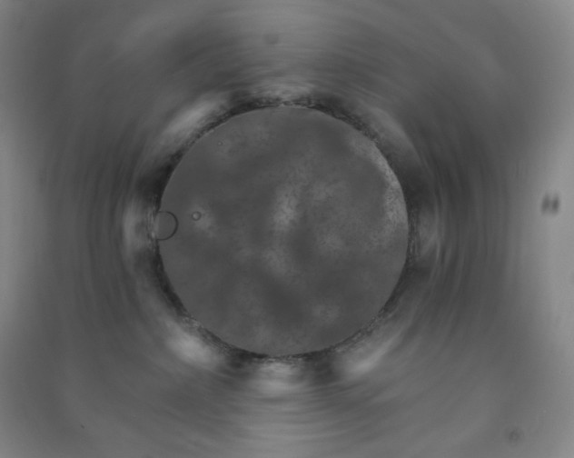 X0000090910236200708201749