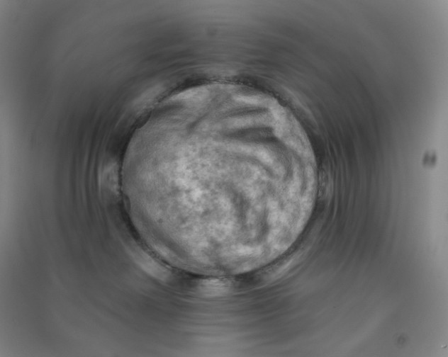 X0000090910238200708201749