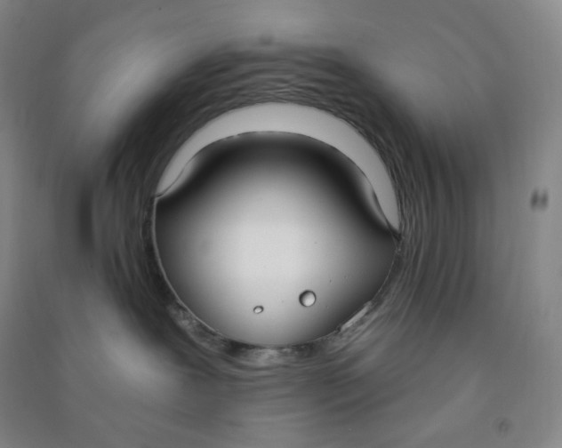 X0000090910239200708201749