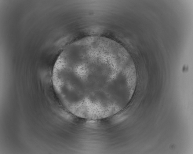 X0000090910240200708201749