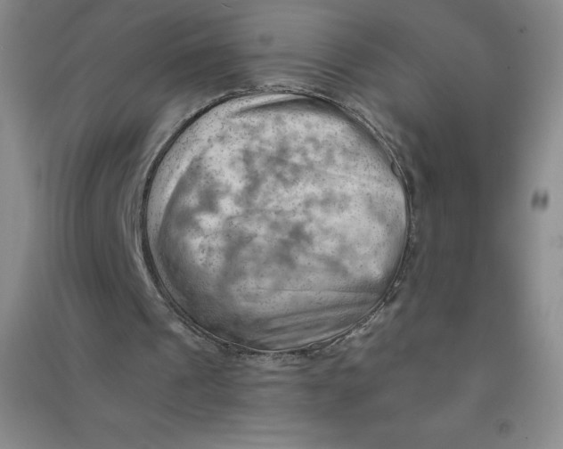 X0000090910241200708201748