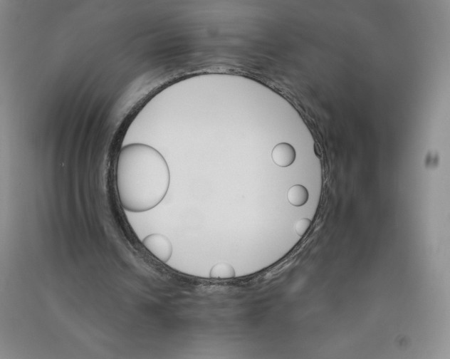 X0000090910242200708201748