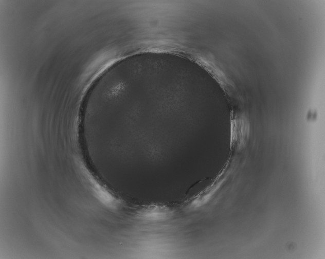 X0000090910243200708201748