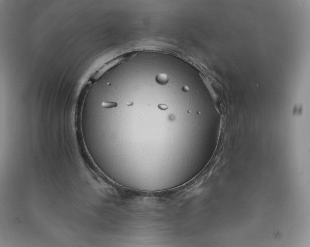 X0000090910244200708201748