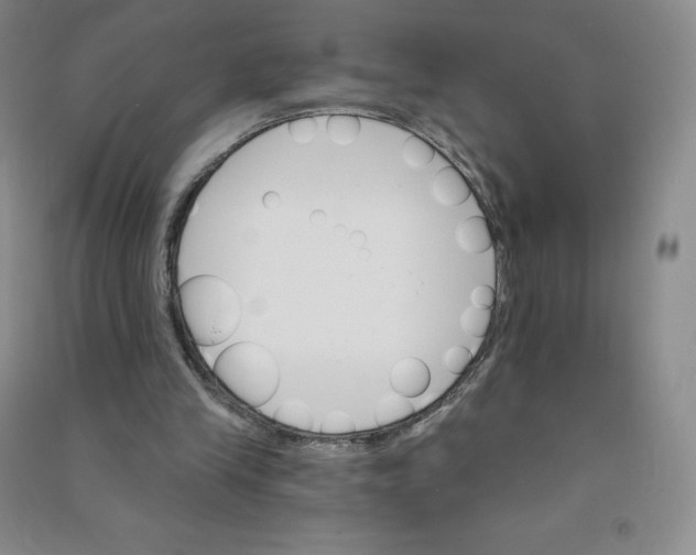 X0000090910245200708201748