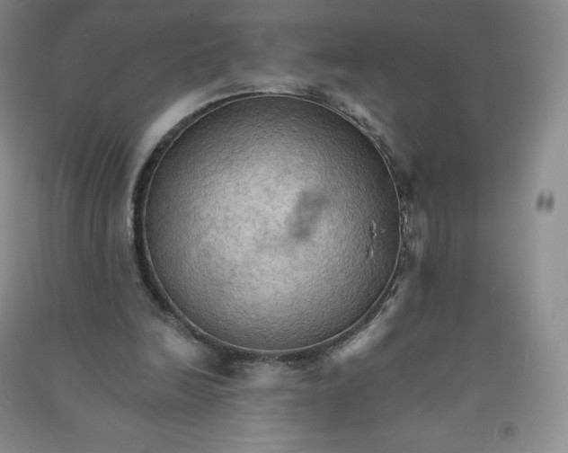 X0000090910246200708201748