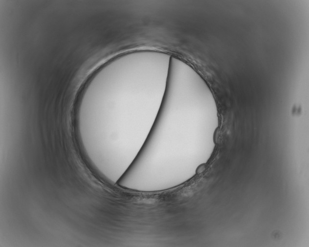 X0000090910247200708201748