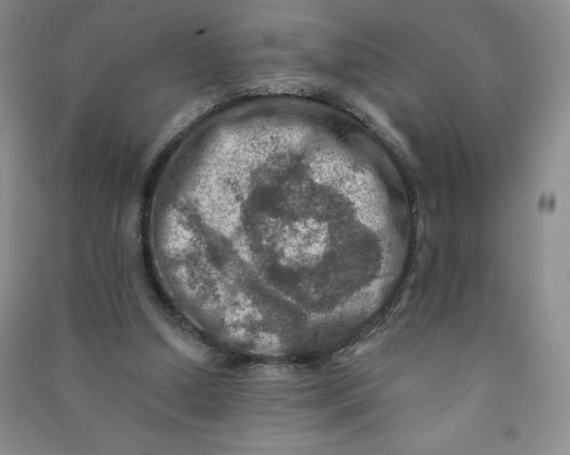 X0000090910250200708201748