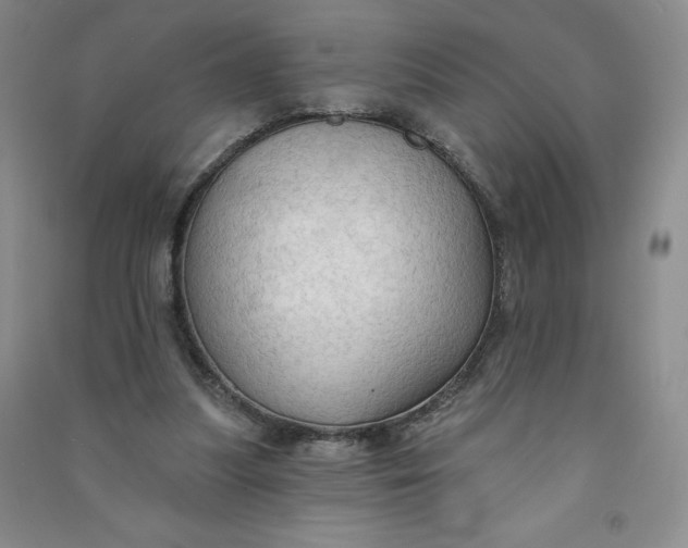 X0000090910251200708201748