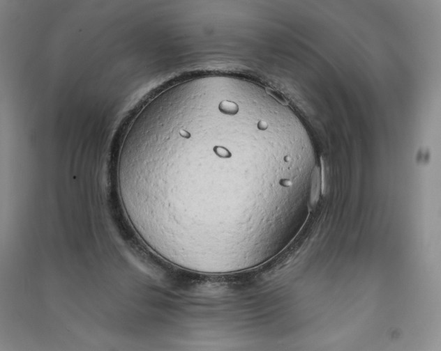 X0000090910252200708201748