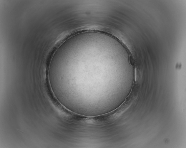 X0000090910253200708201748