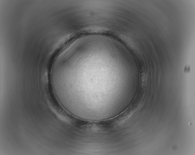 X0000090910254200708201748