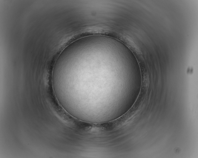 X0000090910255200708201748