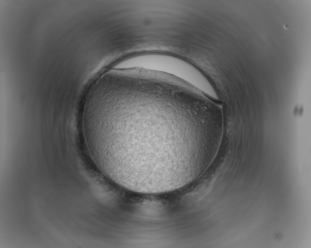 X0000090910256200708201748