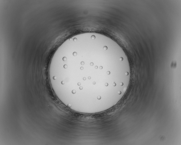 X0000090910258200708201748