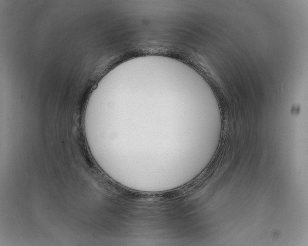 X0000090910259200708201748