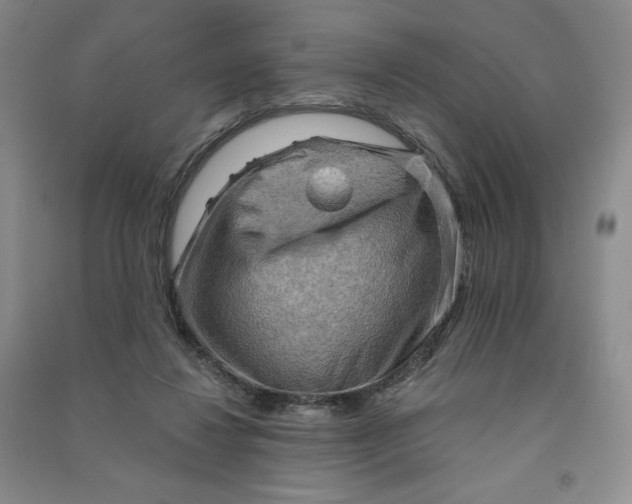 X0000090910260200708201748