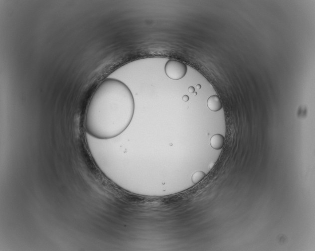 X0000090910262200708201748