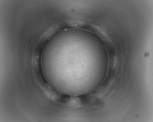 X0000090910263200708201748