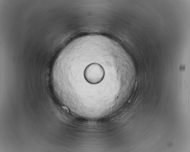 X0000090910264200708201748