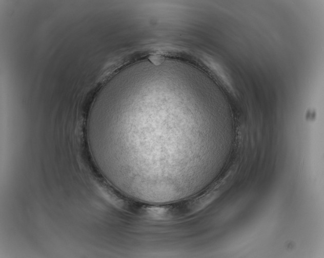 X0000090910265200708201748