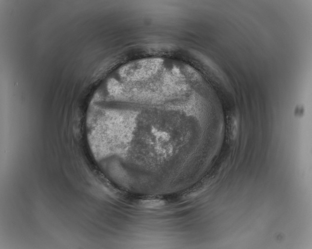 X0000090910266200708201749